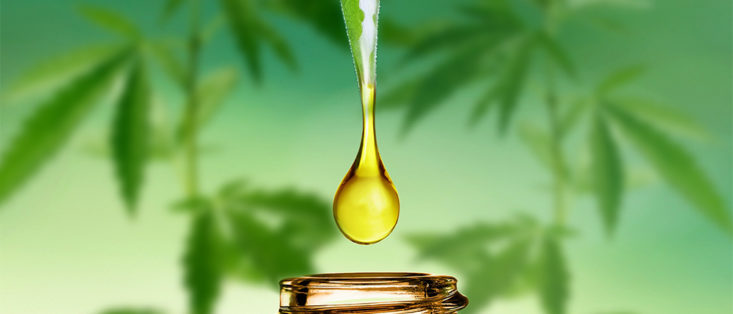 CBD Oil for Worries? Here's Everything You Need to Know About It